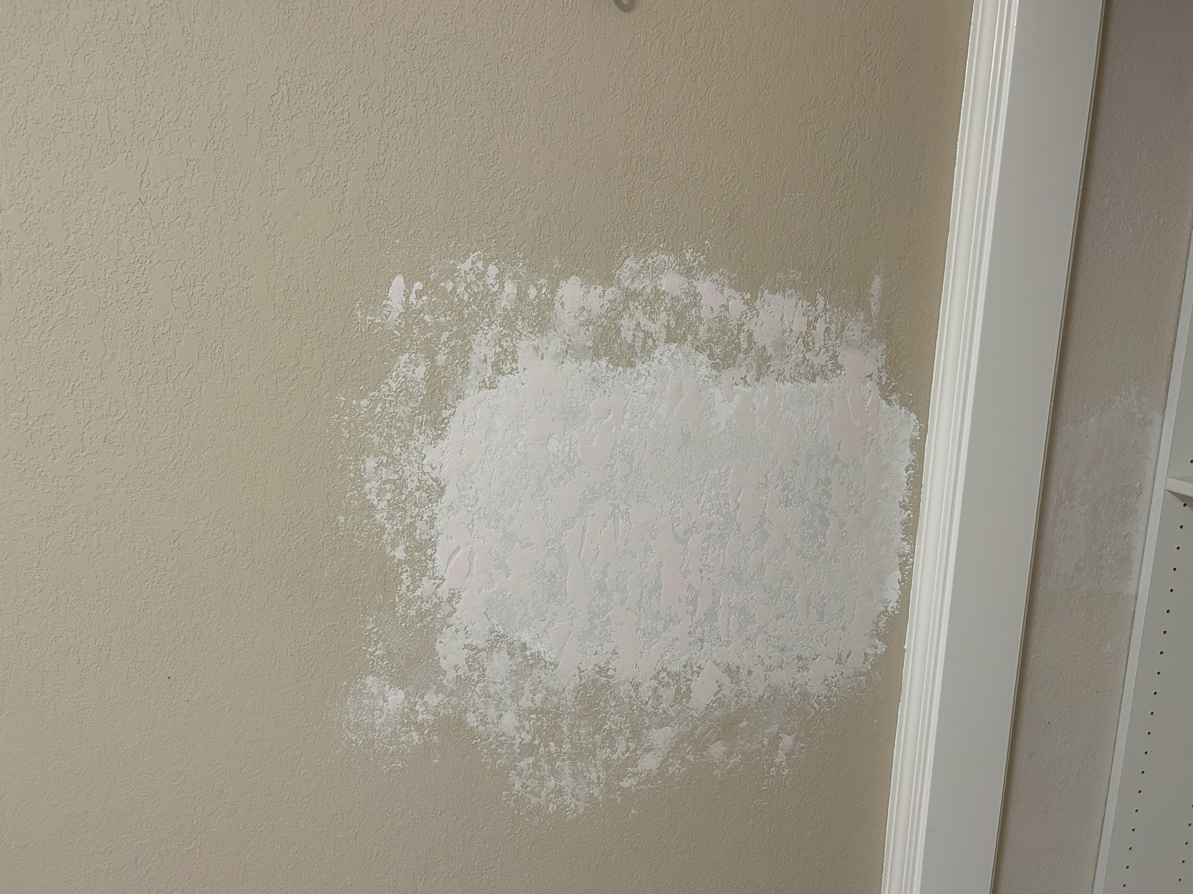 Dry Wall Repair