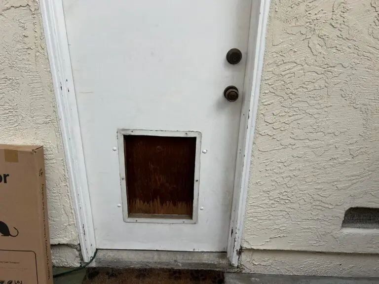 Dog Door Installation in Pleasanton